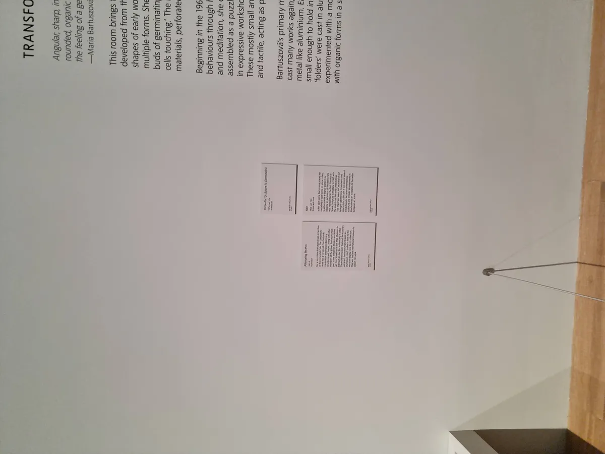 Maria Bartuzova Gallery Image 14